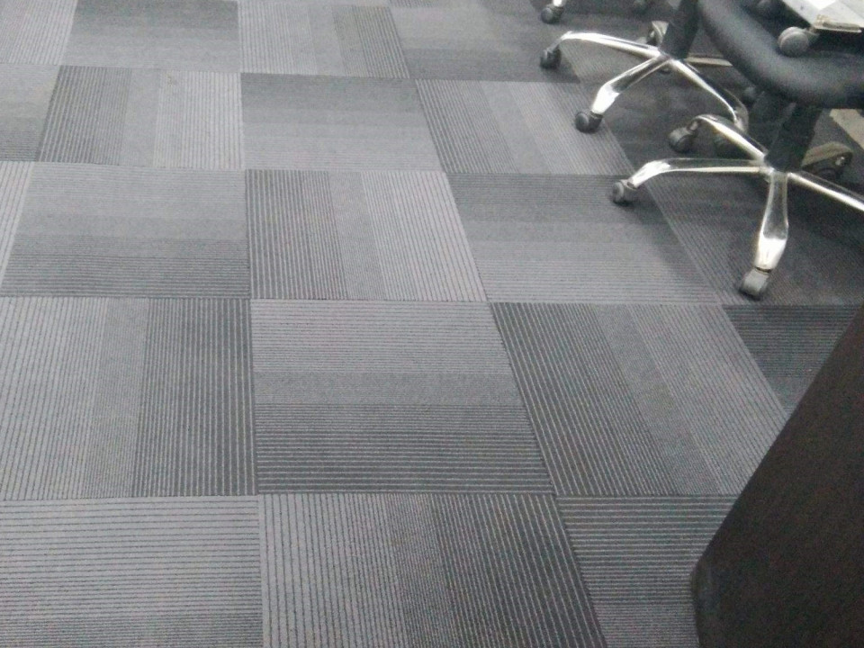 Carpet Shampooing Services in Delhi NCR in Delhi NCR