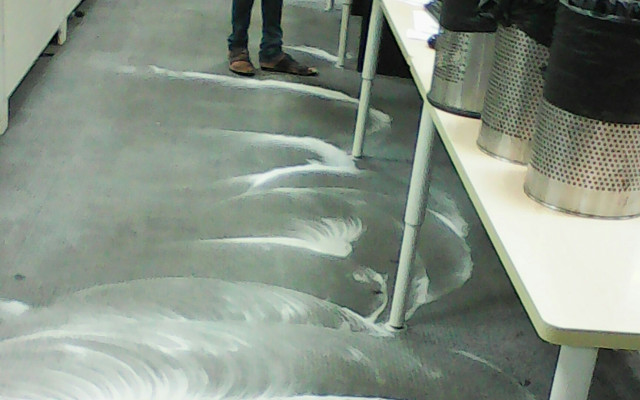 Carpet Shampooing Services