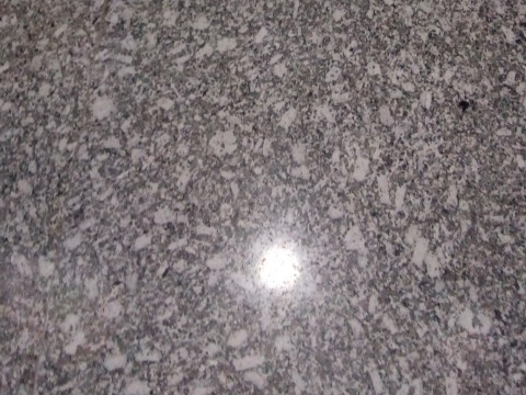Granite Floor Polishing Service
