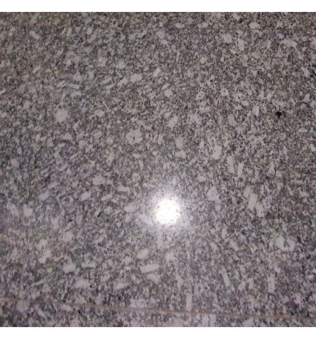 Granite Floor Polishing Service