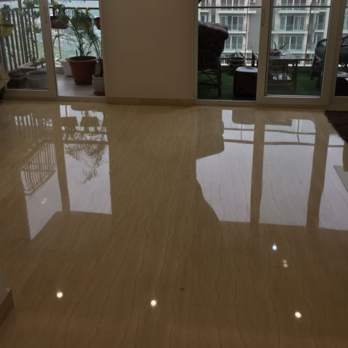 Marble Floor Polishing In Urban Estate-Faridabad