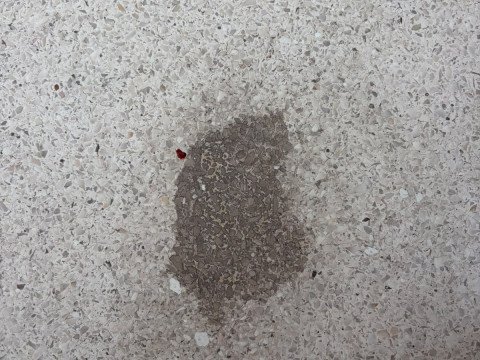 Stains & Spills